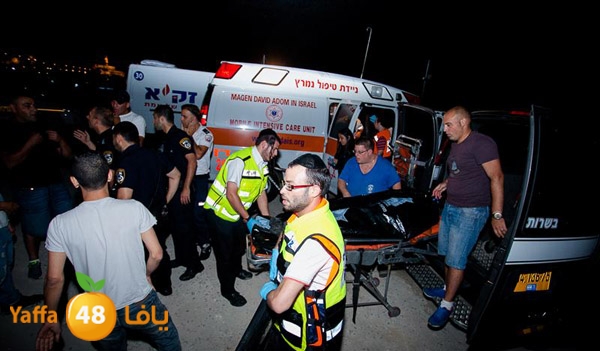 3aregmontreeh520 (32).jpg